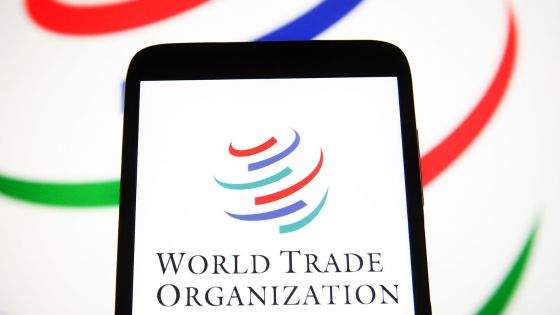 A World Trade Organization logo is seen on a smartphone screen