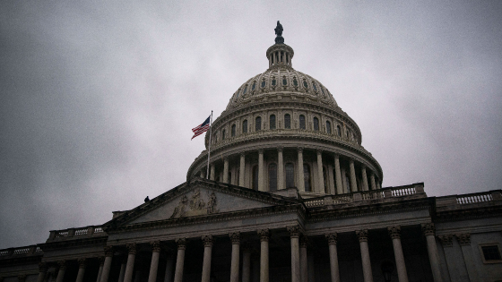 A bird flies past the U.S. Capitol in Washington