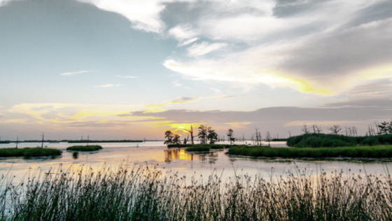 A colorful sunset of yellow, orange and blues in the Louisiana swamps along the Mississippi River with clouds in the blue sky.