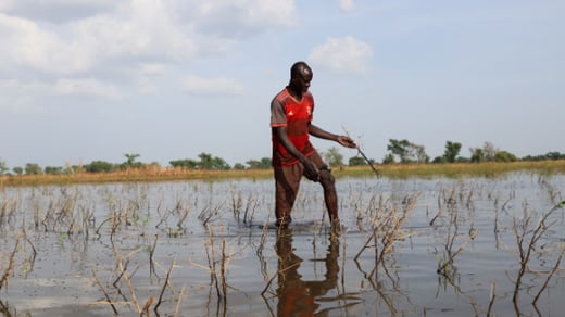 A farmer plods through his submerged red millet field in Dana, Cameroon