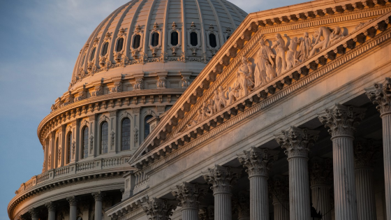 A general view of the U.S. Capitol Building at dawn-1