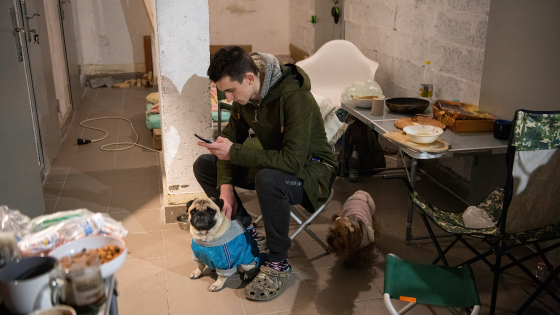 A man looks at his phone next to his two dogs in a basement near the blast that destroyed parts of a shopping mall in Kyiv