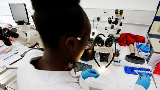 A researcher works inside a laboratory at the International Centre of Insect Physiology and Ecology