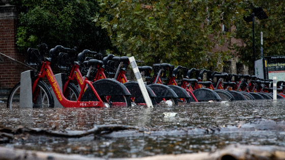 A shared bicycle station is partially submerged in high water in Old Town Alexandria