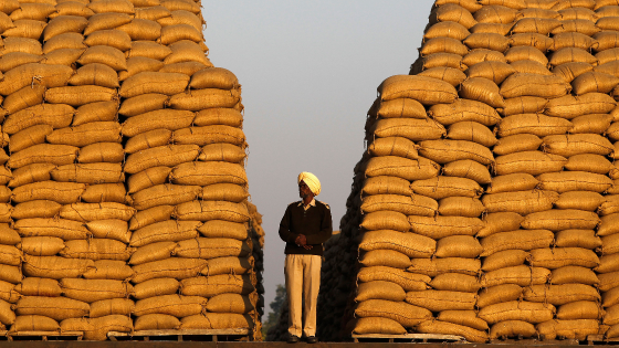 A watchman stands next to heaps of sacks filled with paddy at a wholesale grain market in the northern Indian city of Chandigarh