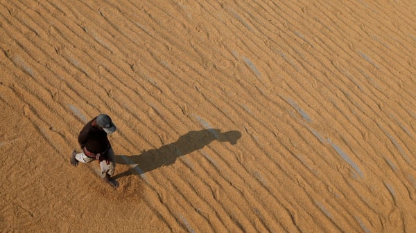 A worker uses his feet to spread rice for drying at a rice mill on the outskirts of Kolkata, India