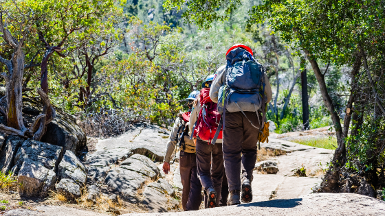 Backpackers hiking through national park