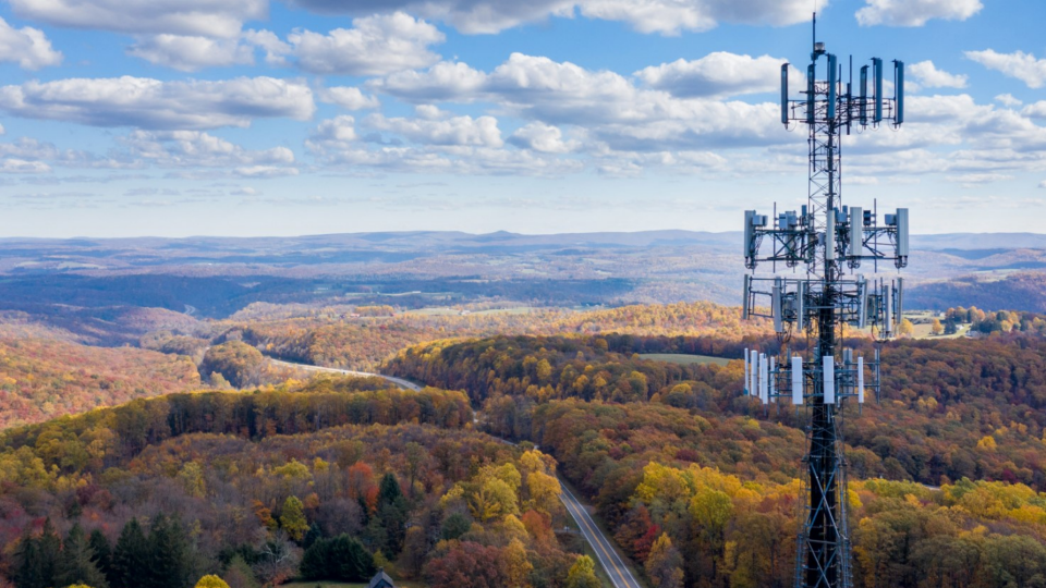 Broadband tower overlooking trees