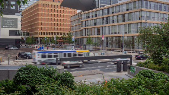 Bus and cars on street