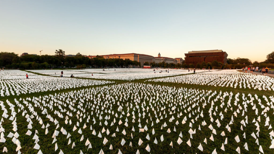 COVID-19 memorial on the National Mall