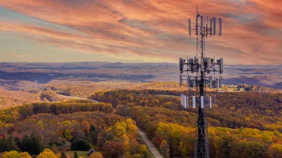 Cell tower in forest area