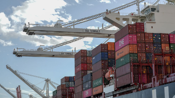 Container ship and dockyard cranes