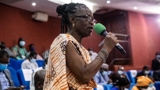 Deputy Germaine Pitroipa in the National Assembly