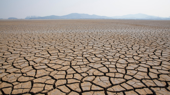 Dried and cracked earth with hills and city in the distance