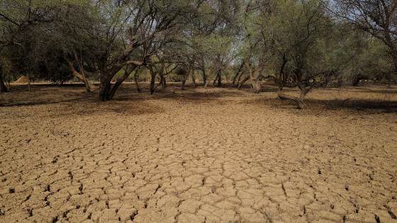 Dry earth is pictured in a field