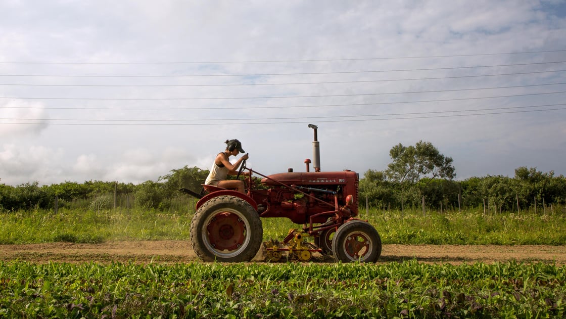 Farmer Isabel Milligan drives a tractor as she weeds and transplants crops on the farm in Amagansett