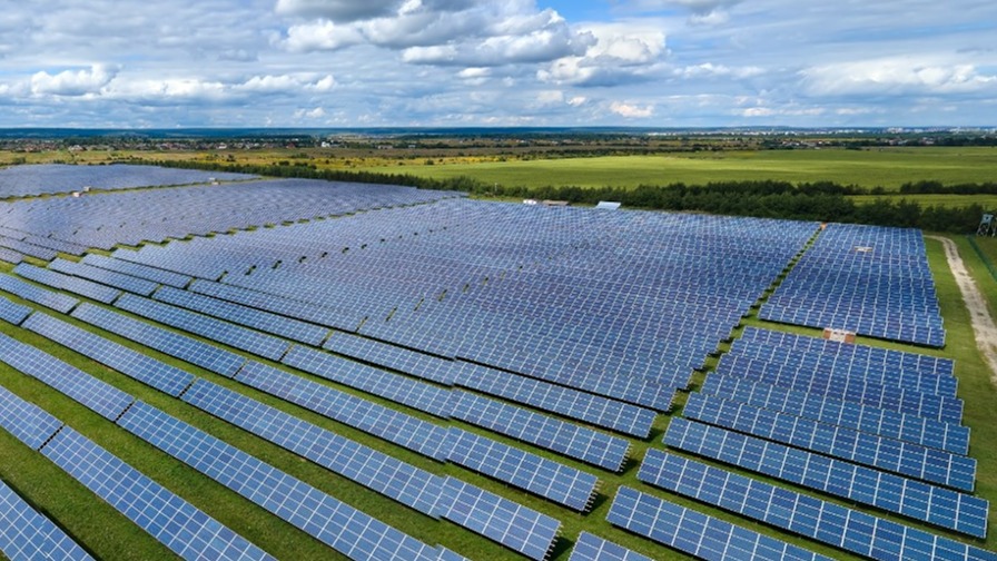 Field with solar panels