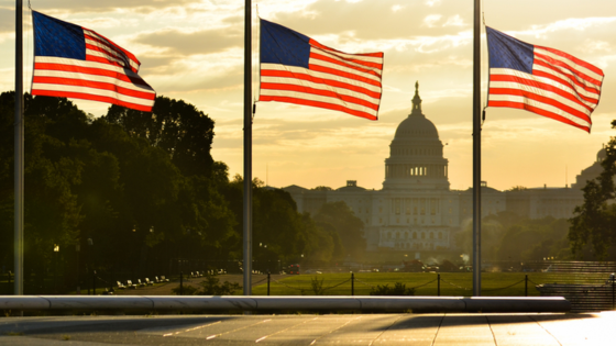 Flags in front of the Capitol building in Washington DC