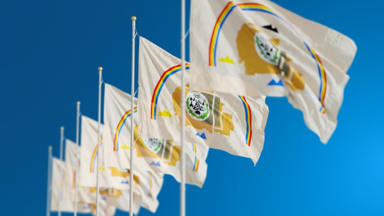 Flags of the Navajo Nation waving