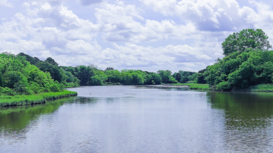 Lake on Tidewater Drive in Norfolk, Va