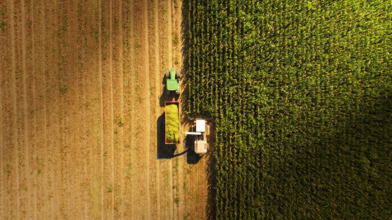 Machines working in a field of crops