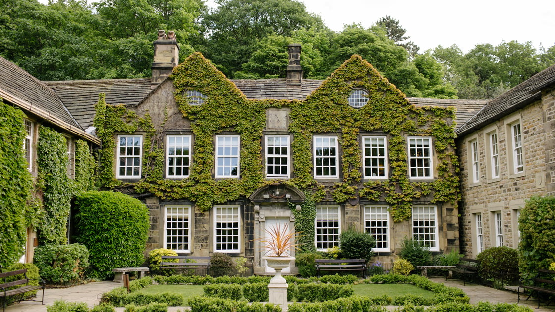 Mansion covered in ivy