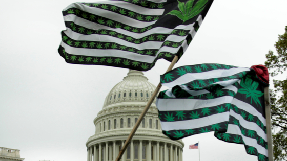 Marijuana flags are seen as protesters gather near US Capitol