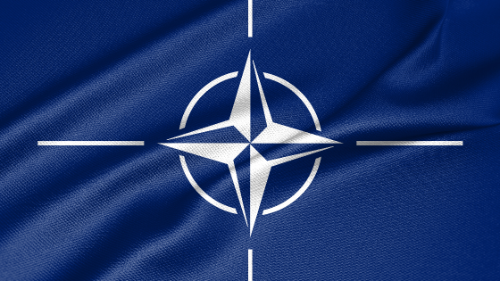 NATO logo printed on fabric