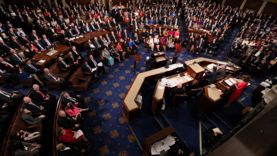 Nancy Pelosi addresses Congress