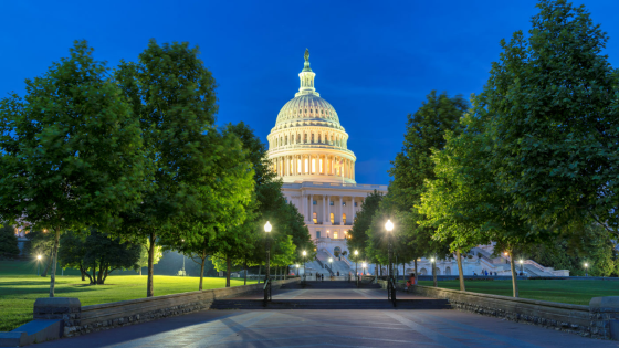 Pathway lined with trees leading up to the U.S. Capitol building