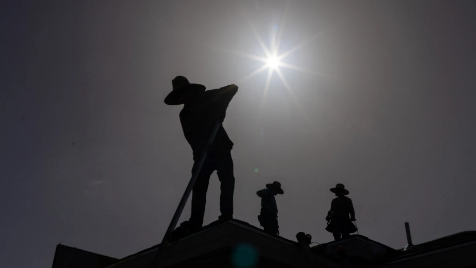 People working on a rooftop on a sunny day