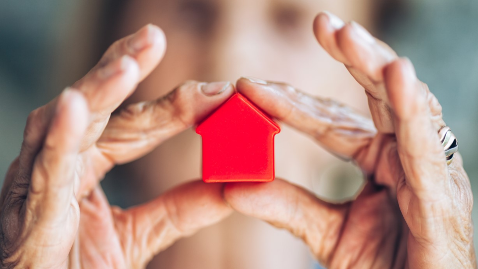 Person holding small toy house