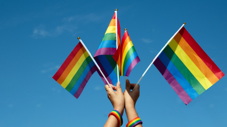 Person with pride wristbands hold up pride flags