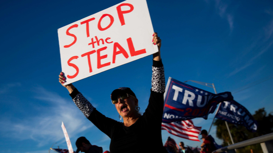 Protester holds a Stop the Steal sign