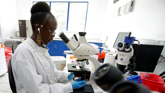 Researcher works inside a laboratory at the International Centre of Insect Physiology and Ecology headquarters in Nairobi