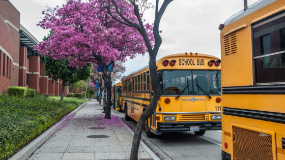 School buses waiting for students in front of Burbank High School