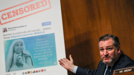 Senator Ted Cruz shows a board before a Senate Judiciary subcommittee hearing on online speech