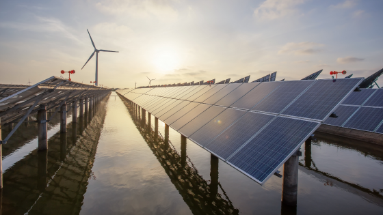 Solar panels and wind turbines