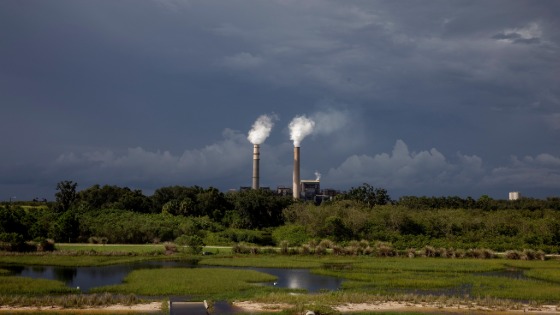 Steam rises out of chimneys at the Big Bend Power Station