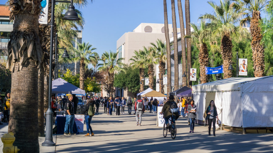 Students walking through a college campus