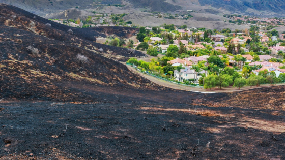 Suburban neighborhood after fire burned hillside