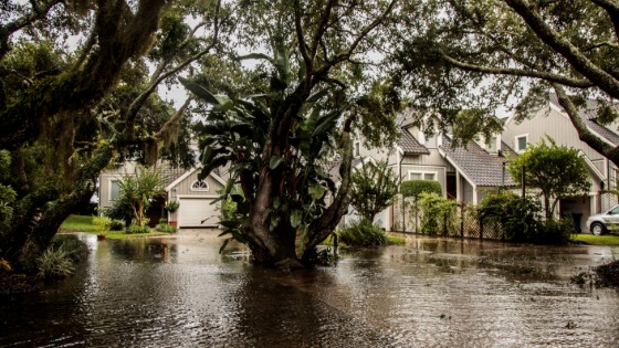 The area around houses is seen flooded due to Hurricane Dorian