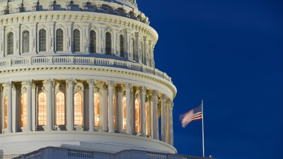 U.S. Capitol Building 2