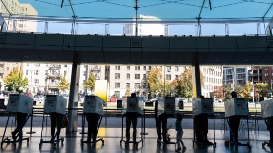 Voters cast their ballot at a polling station during early voting in New York City