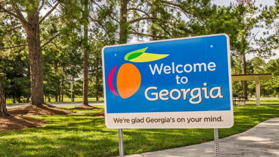 Welcome to Georgia sign