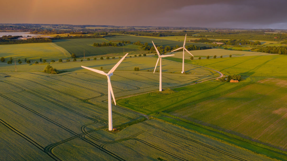 Wind turbines in field