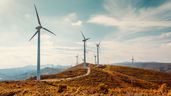 Wind turbines on a hill