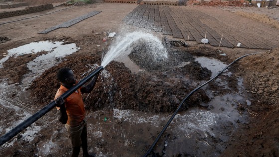 Zaki El-Dine pours water from the Nile river onto a patch of mud